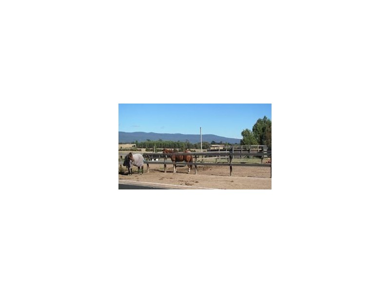 800 Whitemore Road, Whitemore TAS 7303