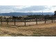 800 Whitemore Road, Whitemore TAS 7303