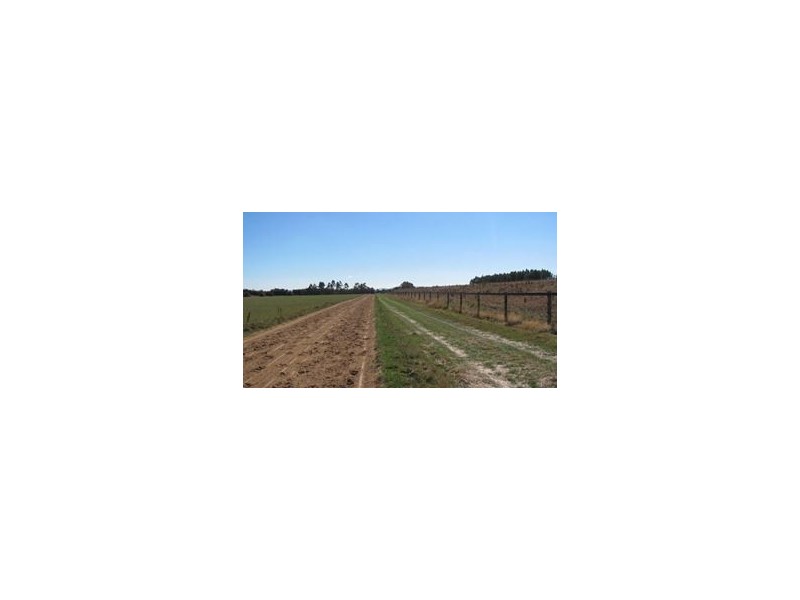 800 Whitemore Road, Whitemore TAS 7303