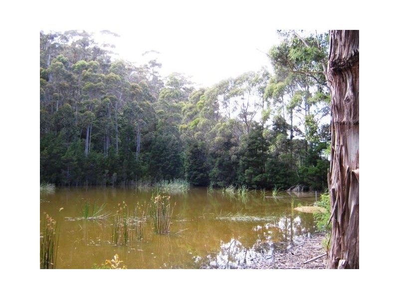 691 & 67 Brown Mountain Road & Wulfs Road, Underwood TAS 7268