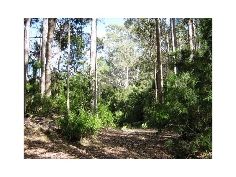 691 & 67 Brown Mountain Road & Wulfs Road, Underwood TAS 7268