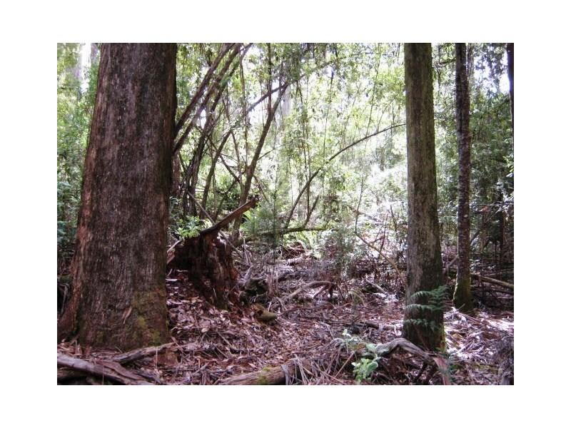 691 & 67 Brown Mountain Road & Wulfs Road, Underwood TAS 7268