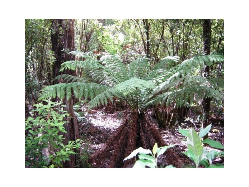 691 & 67 Brown Mountain Road & Wulfs Road, Underwood TAS 7268