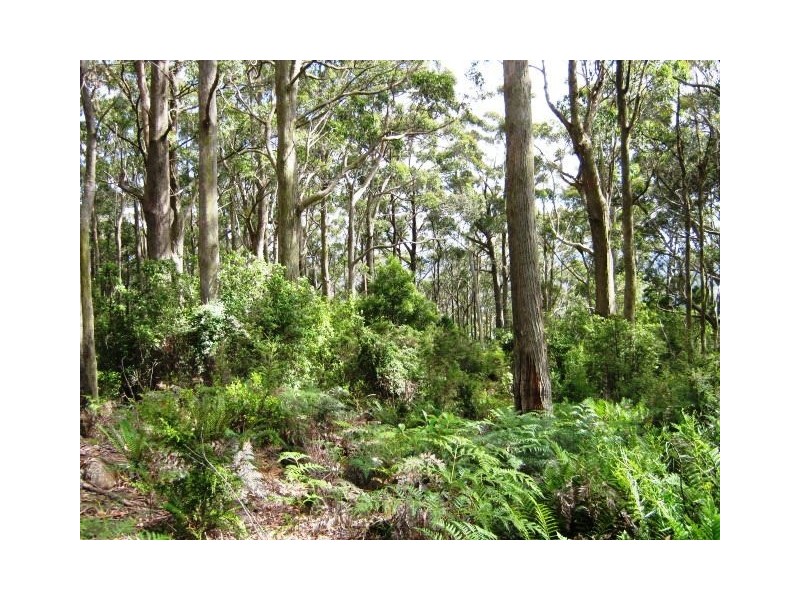 691 & 67 Brown Mountain Road & Wulfs Road, Underwood TAS 7268