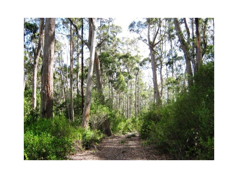 691 & 67 Brown Mountain Road & Wulfs Road, Underwood TAS 7268