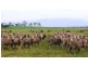 13790 Midland Highway, Epping Forest TAS 7211