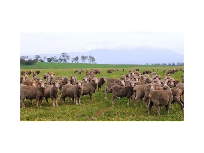 13790 Midland Highway, Epping Forest TAS 7211