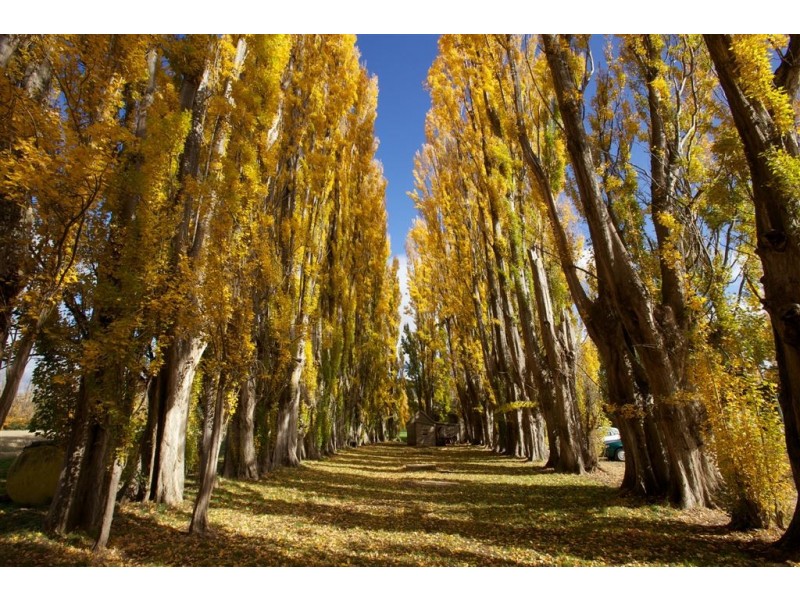 759 Glenora Road, Plenty TAS 7140