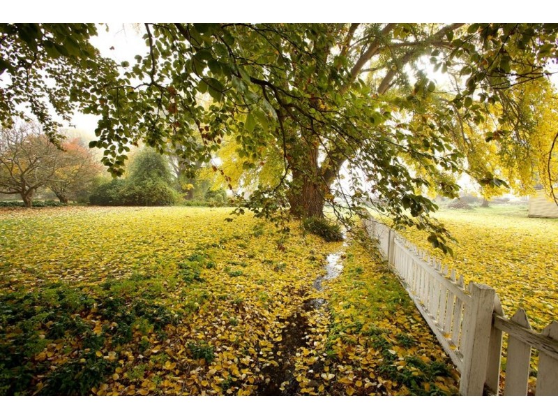 759 Glenora Road, Plenty TAS 7140