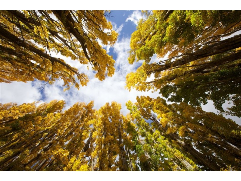 759 Glenora Road, Plenty TAS 7140