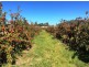 15 Sheffield Road, Spreyton TAS 7310