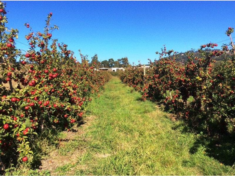 15 Sheffield Road, Spreyton TAS 7310