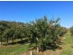 15 Sheffield Road, Spreyton TAS 7310