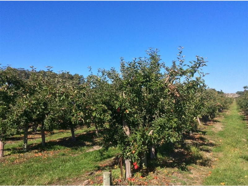 15 Sheffield Road, Spreyton TAS 7310