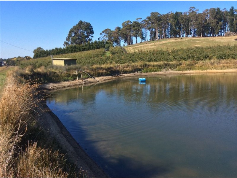 15 Sheffield Road, Spreyton TAS 7310