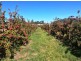 15 Sheffield Road, Spreyton TAS 7310