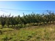 15 Sheffield Road, Spreyton TAS 7310