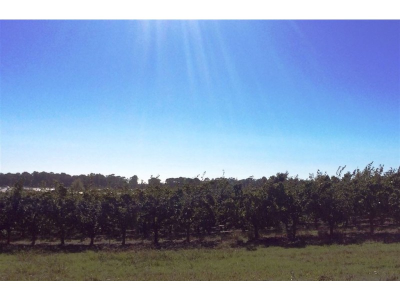 15 Sheffield Road, Spreyton TAS 7310