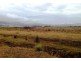 548ha Old Bangor Tram Road, Mount Direction TAS 7252