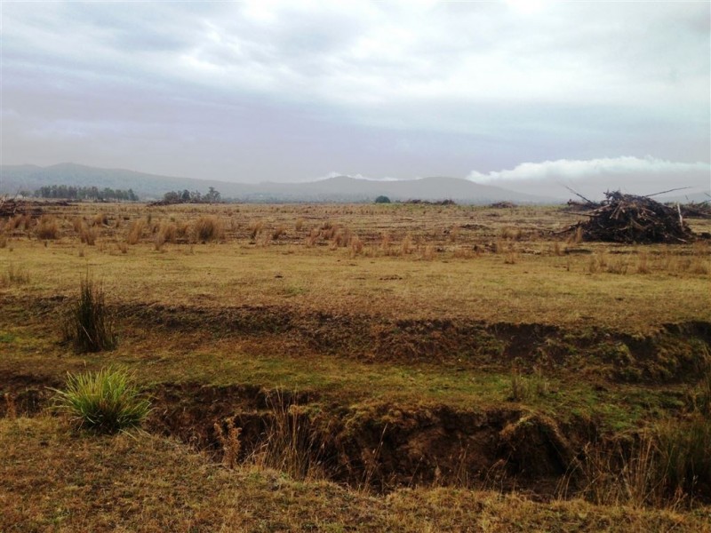 548ha Old Bangor Tram Road, Mount Direction TAS 7252