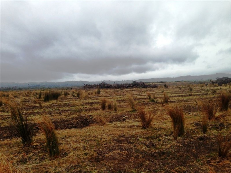 548ha Old Bangor Tram Road, Mount Direction TAS 7252