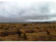 548ha Old Bangor Tram Road, Mount Direction TAS 7252