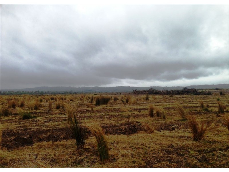548ha Old Bangor Tram Road, Mount Direction TAS 7252