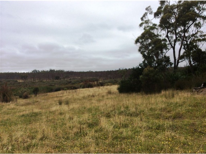 . North Ansons Road, Ansons Bay TAS 7216