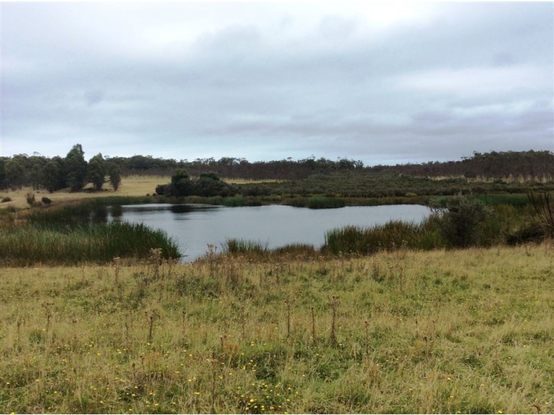 . North Ansons Road, Ansons Bay TAS 7216