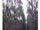 . Bridport Road, Pipers River TAS 7252