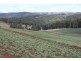 80 Kings Road, Forth TAS 7310
