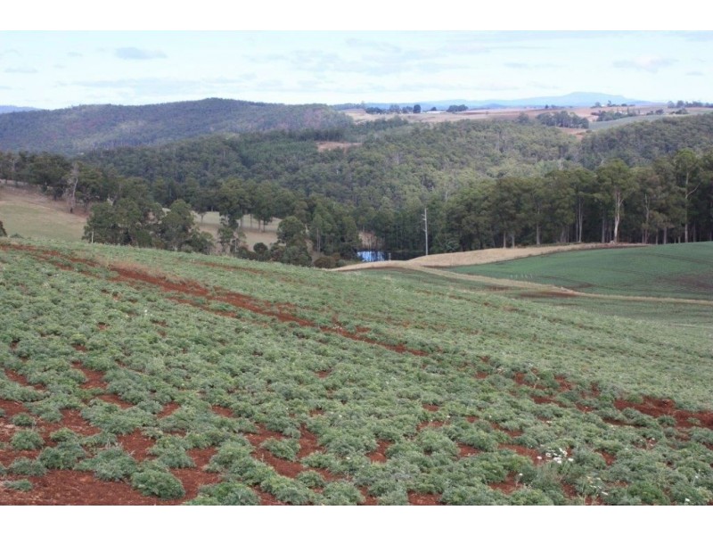 80 Kings Road, Forth TAS 7310