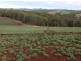 80 Kings Road, Forth TAS 7310