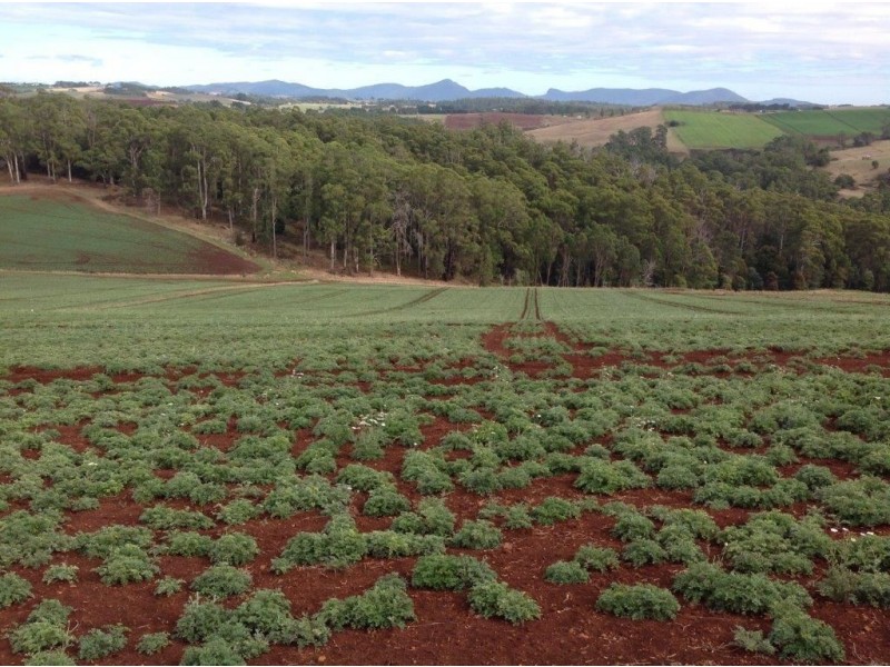 80 Kings Road, Forth TAS 7310