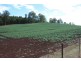 80 Kings Road, Forth TAS 7310