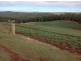 80 Kings Road, Forth TAS 7310