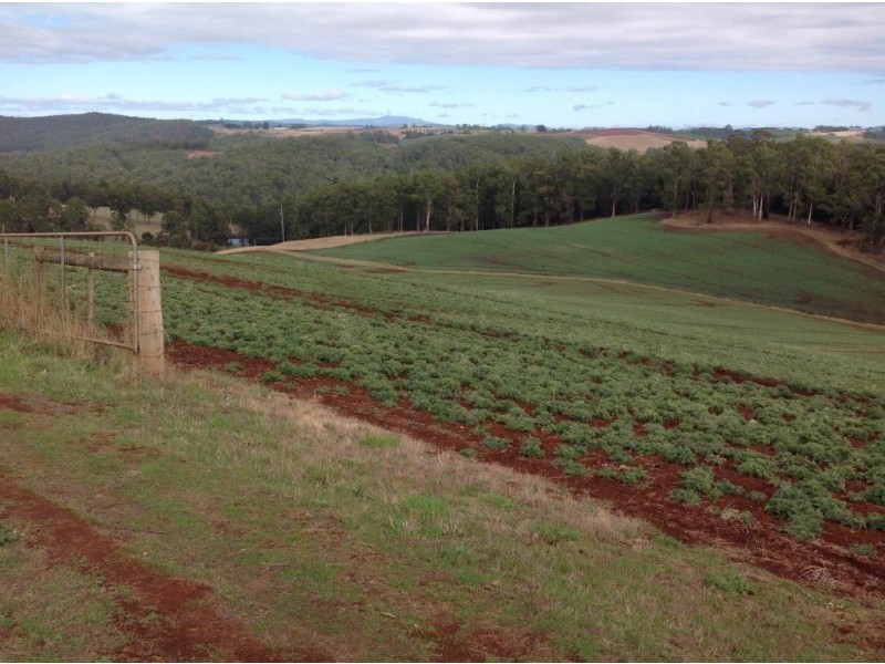 80 Kings Road, Forth TAS 7310