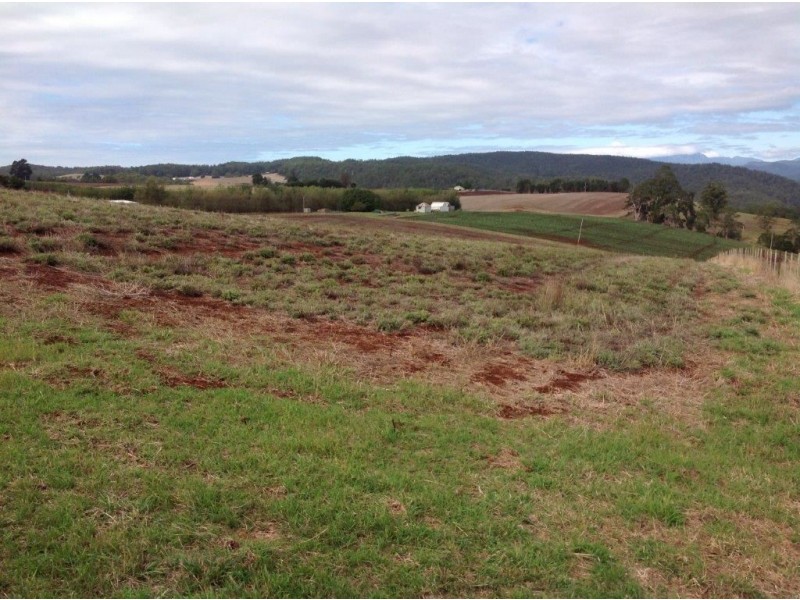 80 Kings Road, Forth TAS 7310