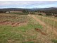 80 Kings Road, Forth TAS 7310