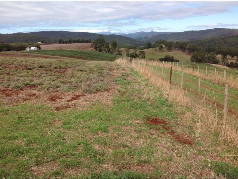 80 Kings Road, Forth TAS 7310