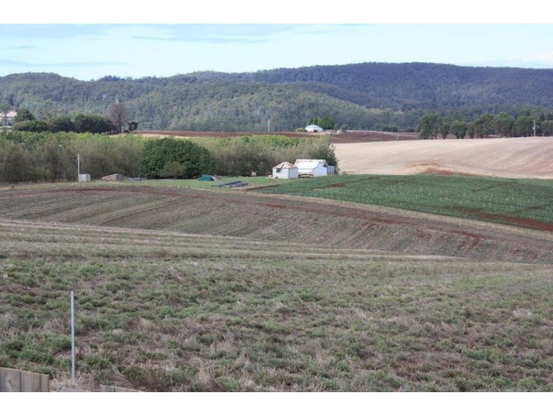 80 Kings Road, Forth TAS 7310