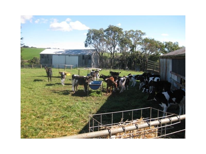 138 Montumana Road, Rocky Cape TAS 7321