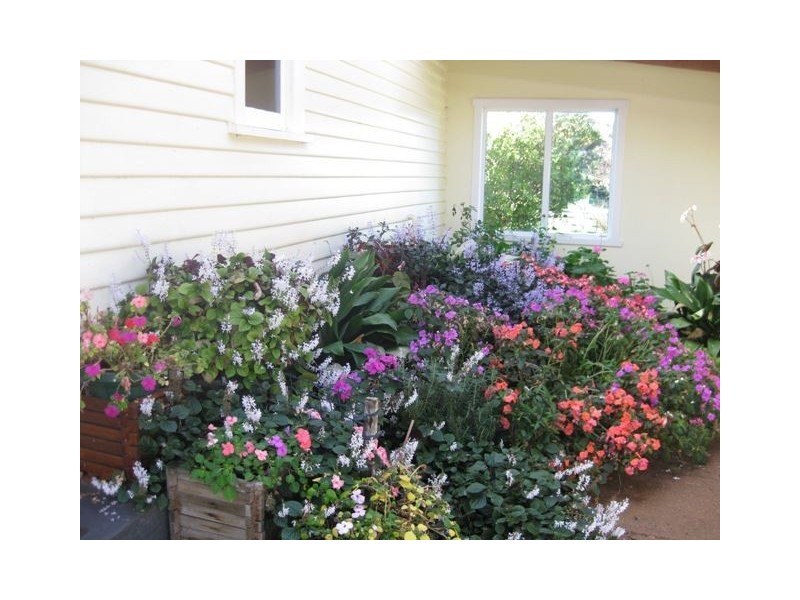 138 Montumana Road, Rocky Cape TAS 7321