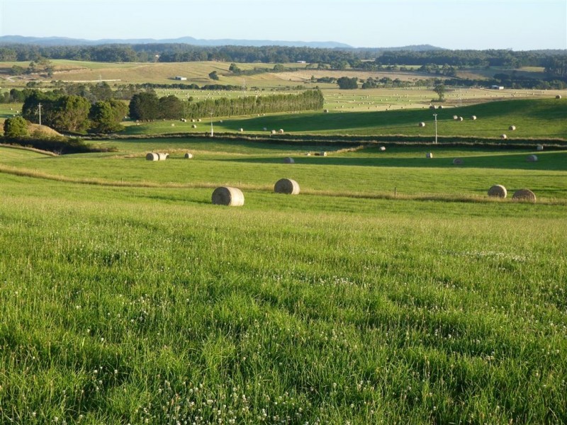 715 Backline Road, Forest TAS 7330