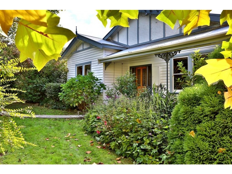 715 Backline Road, Forest TAS 7330