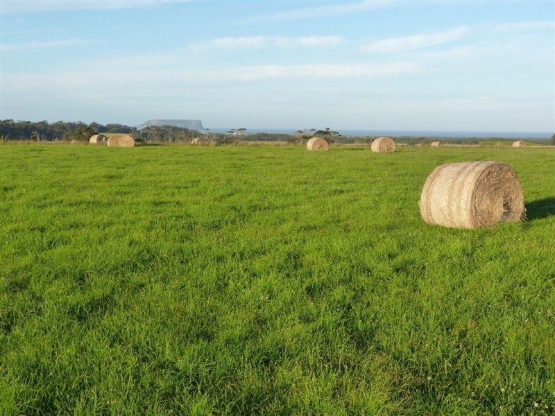 715 Backline Road, Forest TAS 7330