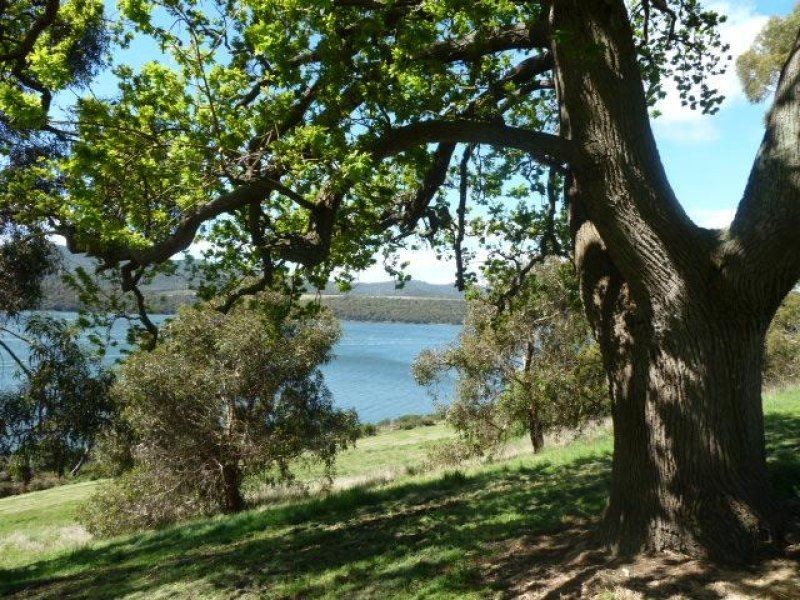 37 Blackwood Hills Road, Rowella TAS 7270