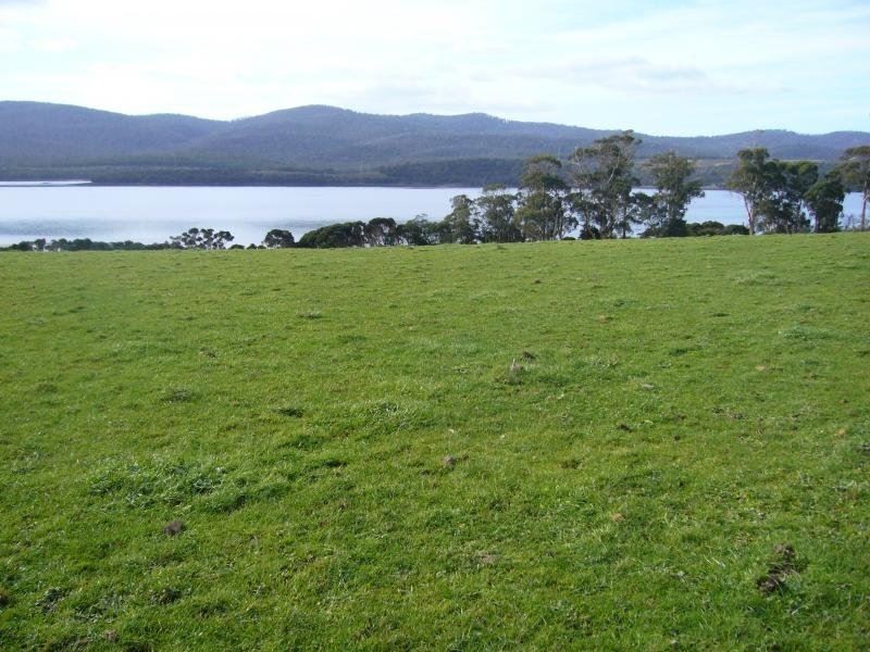 37 Blackwood Hills Road, Rowella TAS 7270