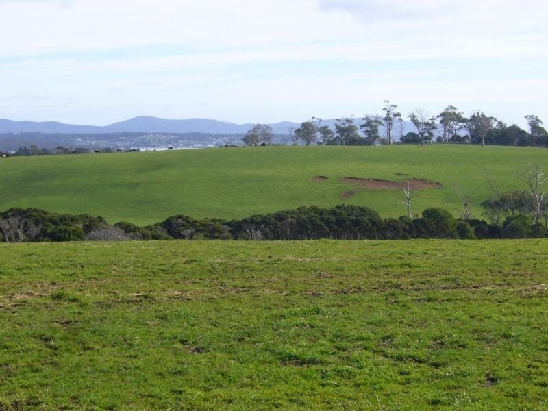 37 Blackwood Hills Road, Rowella TAS 7270