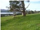 37 Blackwood Hills Road, Rowella TAS 7270